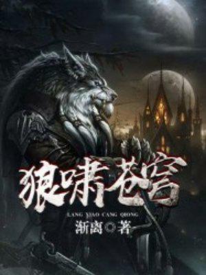 狼啸苍穹小说