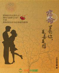 宿命里有你，是喜是悲小说