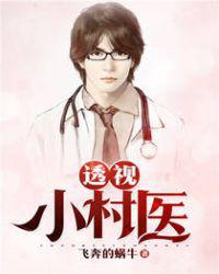 透视小村医小说