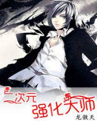 二次元强化大师小说