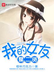 我的女友是二货小说