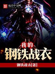 我的钢铁战衣小说