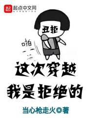 这次穿越我是拒绝的小说