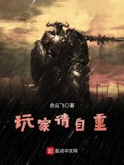 玩家请自重小说