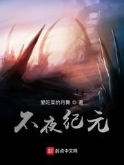 不夜纪元小说