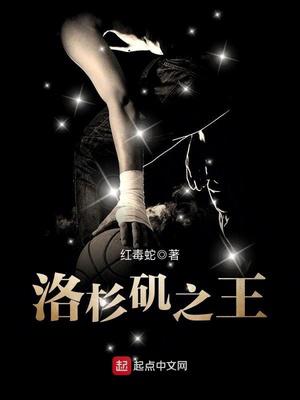 洛杉矶之王小说