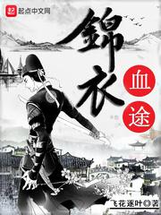 锦衣血途小说