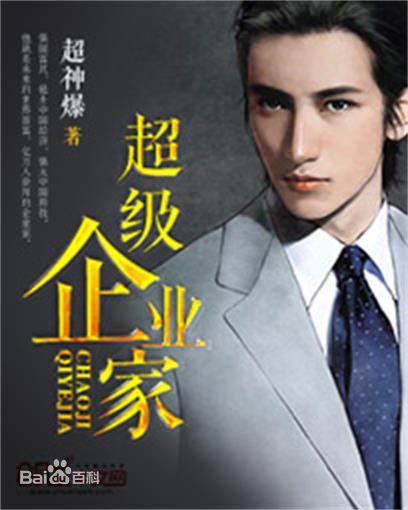 超级企业家小说