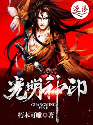 光明神印小说