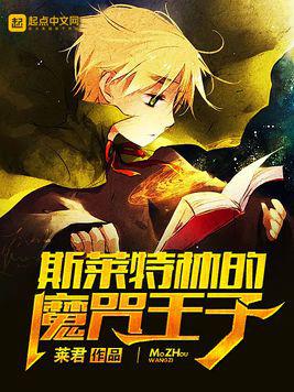 斯莱特林的魔咒王子小说