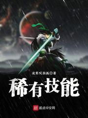 稀有技能小说