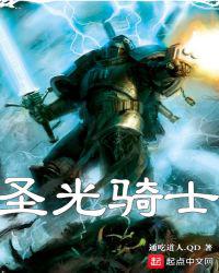 圣光骑士小说