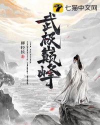 武极巅峰小说
