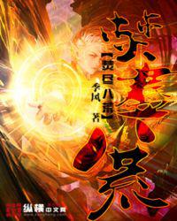 焚尽八荒小说