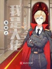 海贼之我是大佬小说