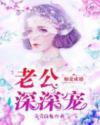 秘爱成婚：老公，深深宠小说