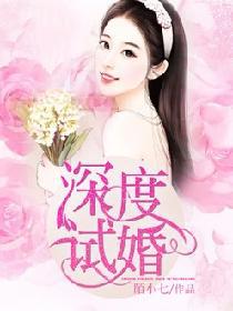 深度试婚小说