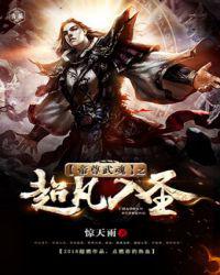 帝尊武魂之超凡入圣小说
