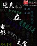 迷失在电影天堂小说