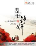 乱世铮妍小说