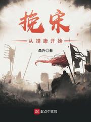 挽宋从靖康开始小说