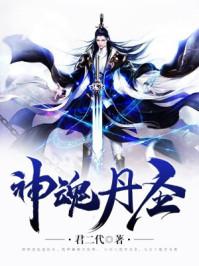神魂丹圣小说