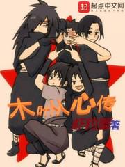 木叶从心传小说