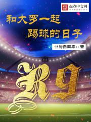 和大罗一起踢球的日子小说