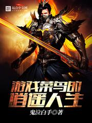 游戏菜鸟的逍遥人生小说