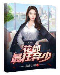 我的极品娇妻小说