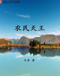 农民天王小说