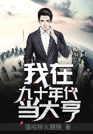 我在九十年代当大亨小说