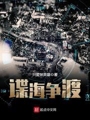 谍海争渡小说
