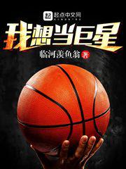 我想当巨星小说