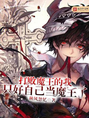 打败魔王的我，只好自己当魔王了小说