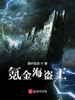 氪金海盗王小说