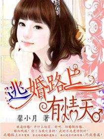 逃婚路上有情天小说