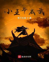 小王爷威武小说