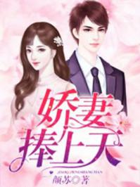娇妻捧上天小说