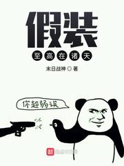 假装至高在诸天小说
