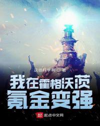 我在霍格沃茨氪金变强小说