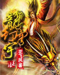 龙行穹宇小说