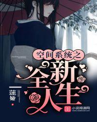 空间系统之全新人生小说