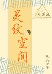 灵纹空间小说