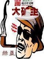 大矿主小说
