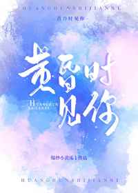 黄昏时见你小说