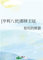 都铎王冠小说