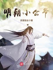 明朝小公爷小说
