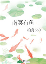 南冥有鱼小说