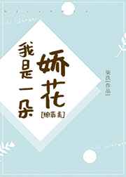 我是一朵娇花小说
